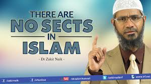 no sect in Islam