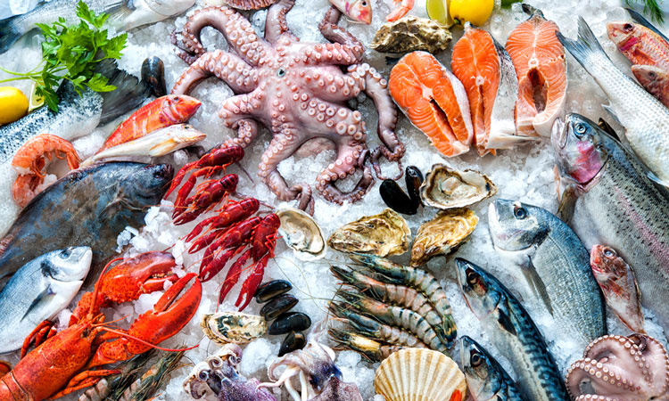 seafood 5